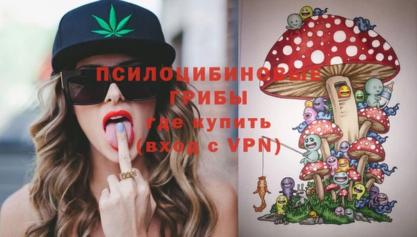 PSILOCYBIN Вязьма