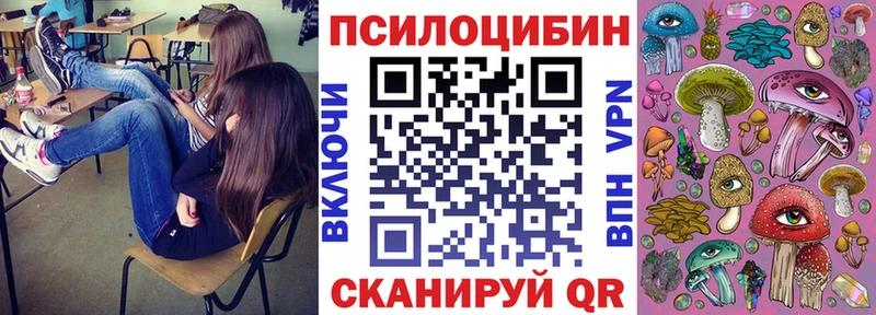 Псилоцибиновые грибы мицелий  Купить закладки  Яхрома 